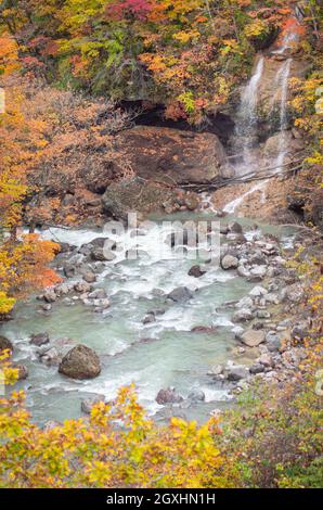 Vue depuis le pont de Mori no Ohashi vers la gorge de la rivière Matsu avec chute d'eau en automne, parc national de Towada-Hachimantai, Iwate, Japon Banque D'Images