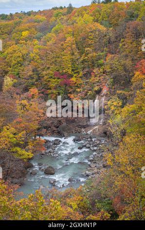 Vue depuis le pont de Mori no Ohashi vers la gorge de la rivière Matsu avec chute d'eau en automne, parc national de Towada-Hachimantai, Iwate, Japon Banque D'Images