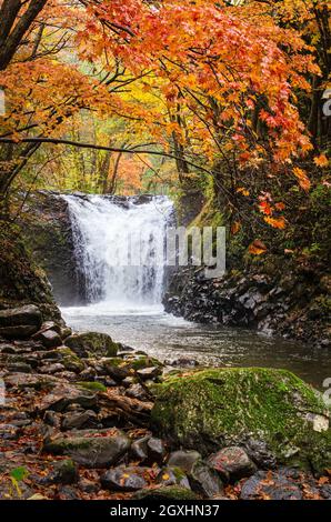 Chutes de Tometaki en automne, parc national de Towada-Hachimantai, préfecture d'Akita, Japon Banque D'Images