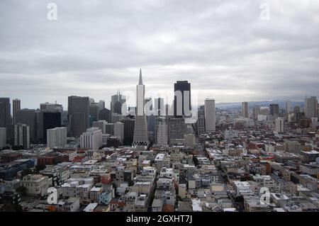 San Fransisco Financial District Skyline incluant le bâtiment Transamerica Pyramid, vu de Coit Tower, San Fransisco, Californie, États-Unis. Banque D'Images