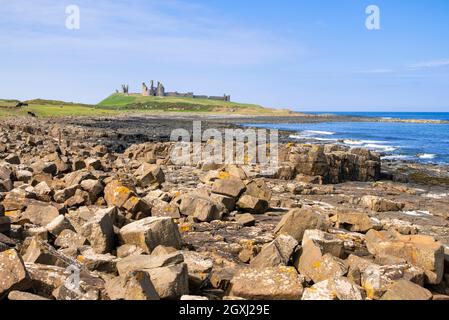 Château de Dunstanburgh Northumberland Angleterre vue de la côte rocheuse près du village de Cester Northumberland côte Angleterre GB Royaume-Uni Europe Banque D'Images