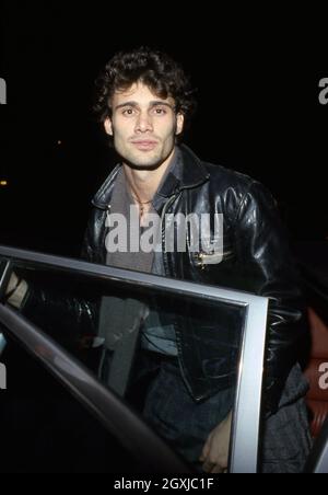 Steven Bauer Circa années 1980. Crédit: Ralph Dominguez/MediaPunch Banque D'Images