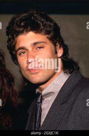 Steven Bauer Circa années 1980. Crédit: Ralph Dominguez/MediaPunch Banque D'Images