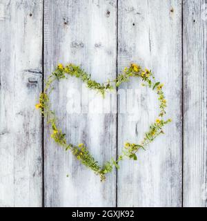 Symbole de coeur bordé d'hypericum médicinal avec des fleurs jaunes sur une table en bois. Tisane séchée saine. Vue de dessus. Banque D'Images