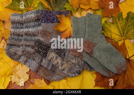 Concept d'automne - temps de se réchauffer. Chaussettes tricotées à la main aux couleurs de l'automne sur fond de feuillage d'automne Banque D'Images