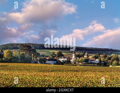 Aloxe Corton Grand cru village viticole au coucher du soleil vue à travers les vignobles couleur d'automne, avec la colline de Corton derrière. Côte d'Or Côte de Beaune Bourgogne Bourgogne France Banque D'Images