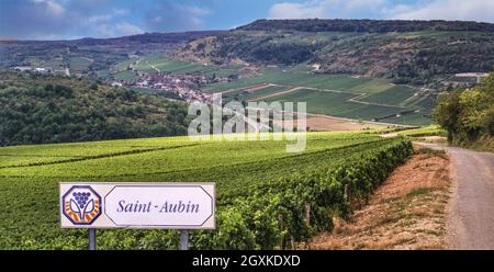 Saint-Aubin signe pour le village viticole et les vignobles, vue paysage Bourgogne Côte d'Or France Banque D'Images