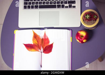 Ordinateur portable, journal ouvert avec feuilles de papier blanc, feuille de raisin rouge, pomme et citrouille décorative d'halloween sont couchés sur la table grise vue du dessus. Workspac Banque D'Images