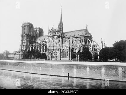 France, Cathédrale Notre Dame, Paris Banque D'Images