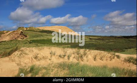 Rubjerg Knude unique de dunes, à la côte ouest du Danemark. Banque D'Images