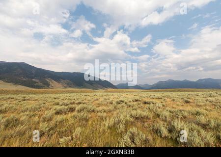 Sagebrush steppe, Missouri Flats, Montana, États-Unis Banque D'Images