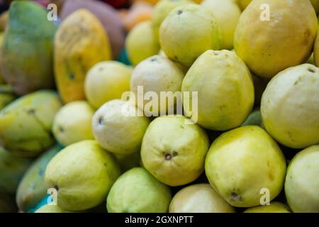 Gros plan d'un porte-fruits coloré avec pile de guavas et de mangues jaunes fraîches. Fruits tropicaux juteux à vendre sur le stand à l'intérieur de la cuisine mexicaine classique Banque D'Images