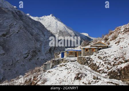 Dans la scène de printemps Langtang National Park, au Népal. Banque D'Images