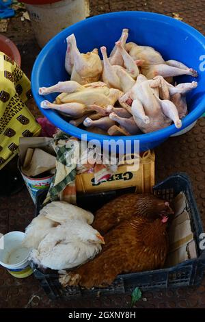 Poules pondeuses et vivantes, marché, marché, marché hebdomadaire, Assomada,Île de Santiago, Cap-Vert Banque D'Images