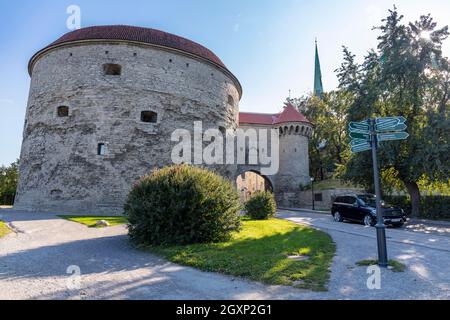 Mur de ville et Dicke Margarethe, tour de défense de la ville de Chevaler fortification, Tallinna linnamueuer, Tallinn, Estonie Banque D'Images