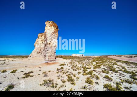 Désert plat de sable et de fleurs jaunes avec route de terre dans le désert et piliers de roche blanche Banque D'Images