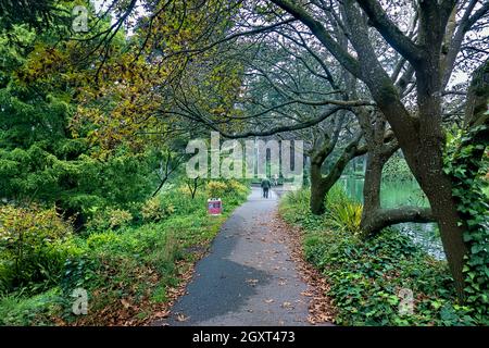 Scènes de Stow Lake, Golden Gate Park, San Francisco, Californie, États-Unis Banque D'Images