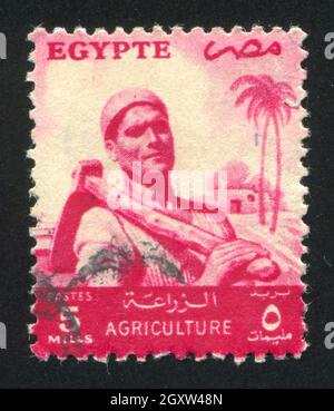 ÉGYPTE - VERS 1953 : timbre imprimé par l'Égypte, montre Farmer, vers 1953. Banque D'Images