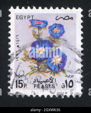 ÉGYPTE - VERS 1996 : timbre imprimé par l'Égypte, affiche des fleurs bleues, vers 1996 Banque D'Images