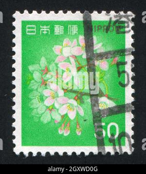 JAPON - VERS 1980: Timbre imprimé par le Japon montre des cerisiers en fleurs, vers 1980 Banque D'Images