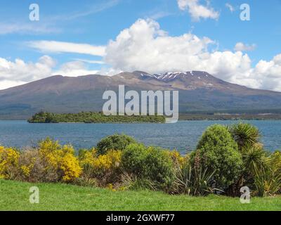 Impression ensoleillée autour du lac Rotopounamu sur l'île du Nord De la nouvelle-Zélande Banque D'Images