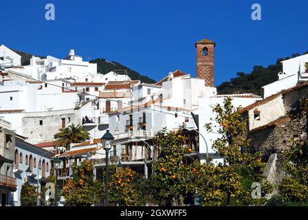 Vue sur le village blanchi à la chaux (pueblo blanco), Salares, Espagne. Banque D'Images