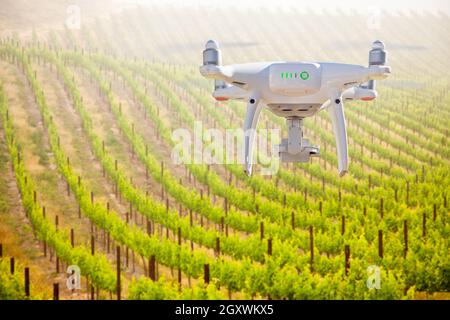 Système d'avions sans pilote (UAV) Drone Quadcopter dans l'air au-dessus de la vigne raisin ferme. Banque D'Images