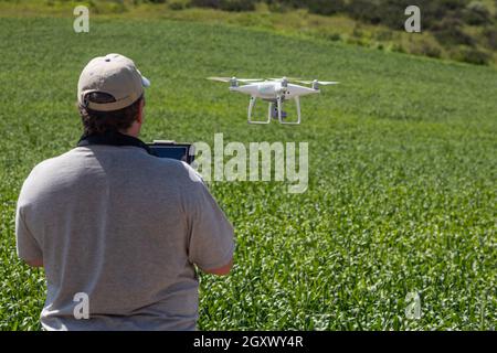 Drone UAV pilote aux commandes et la collecte de données sur les terres agricoles du pays. Banque D'Images