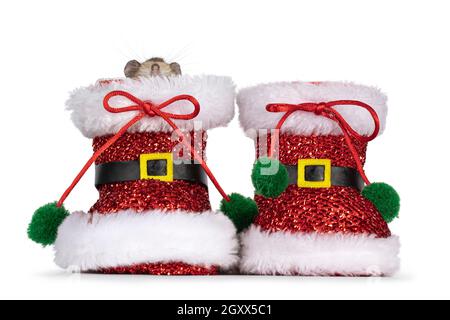 Petites bottes de père Noël brillantes rouges avec nez de hamster qui surpointe le bord d'une chaussure de Noël. Isolées sur un fond blanc. Banque D'Images