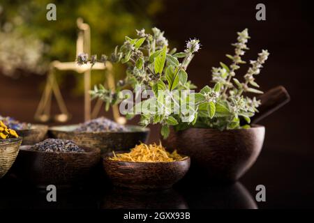 La santé, l'alternative à base de plantes fraîches et de mortier en noir fond miroir Banque D'Images