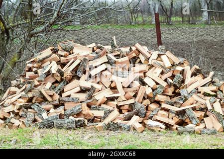 Une pile de bois perforée. Le bois récolté pour la cuisinière. Banque D'Images