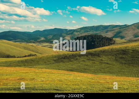 Paysage de collines de Zlatibor en été d'en haut, photographie aérienne de drone de pâturages verts et de bois Banque D'Images