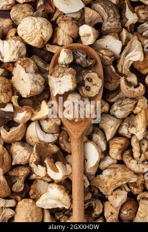 Cuillère en bois avec des champignons séchés se trouve sur un fond de champignons Banque D'Images