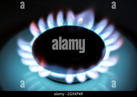 Flammes bleues de cuisinière à gaz dans le noir Banque D'Images