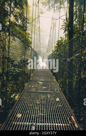 Pont suspendu dans la forêt. Pont de corde. Le chemin à travers la forêt tropicale. La lumière au bout d'un chemin. Ponts suspendus Arenal. Costa Rica Banque D'Images