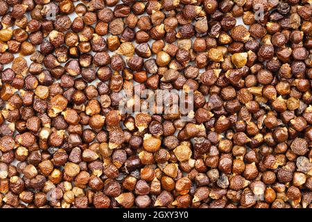 fond de nourriture - grains de poivre de paradis de près Banque D'Images