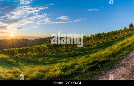 Les plus hauts vignobles d'Autriche près du village Kitzeck im Sausal, Styrie, Autriche Banque D'Images