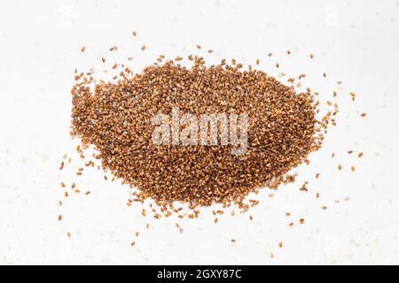 vue de dessus de la pile de graines de teff de grain entier en gros plan sur plaque en céramique grise Banque D'Images