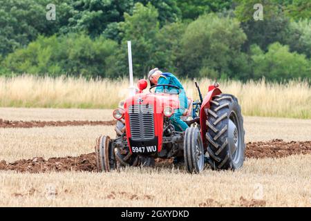 Middleshaw, Écosse - 16 août 2020 : un tracteur d'époque Massey Ferguson 35 en compétition lors d'un match de labour local Banque D'Images