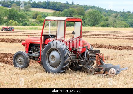 Middleshaw, Écosse - 16 août 2020 : un tracteur d'époque Massey Ferguson 35 en compétition lors d'un match de labour local Banque D'Images