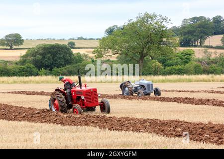 Middleshaw, Écosse - 16 août 2020 : tracteur Vintage McCormick International B-275 avec un tracteur ferguson TE20 en compétition sur un tapis de labour local Banque D'Images