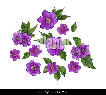 Ensemble de cartes à motifs floraux avec différentes fleurs et feuilles de jardin. Illustration botanique isolée sur fond blanc style dessiné à la main. Vecteur Illustration de Vecteur