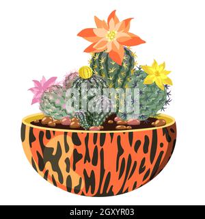 Cactus fleuris dans un pot. Image vectorielle isolée sur fond blanc. Illustration de Vecteur
