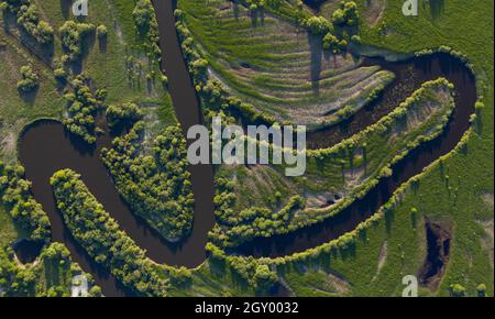 Une rivière sinueuse traverse une plaine marécageuse et une forêt, vue aérienne. Banque D'Images