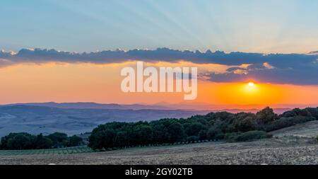 Paysage toscan typique près de Montepulciano et Monticchielo, Italie Banque D'Images