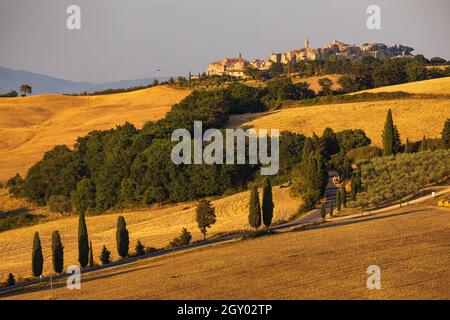 Cipressi di Monticchielo, paysage toscan typique près de Montepulciano, Italie Banque D'Images