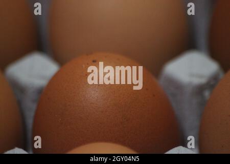 Gros plan avec accent sélectif sur les œufs de poulet frais de ferme dans une boîte à œufs, un porte-œufs ou un bac à papier en vente Banque D'Images