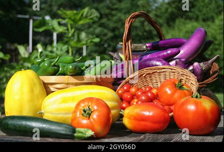 Récolte de légumes d'été - aubergines de tomates fraîches et de courgettes Banque D'Images