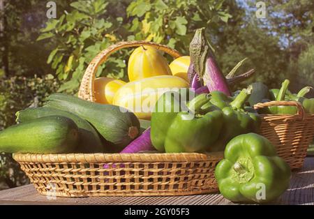 Ginkaku Korean Melons avec Bell Peppers, aubergine et Zucchini Banque D'Images