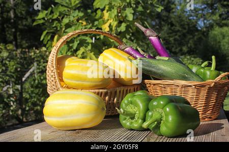 Ginkaku Korean Melons avec Bell Peppers, aubergine et Zucchini Banque D'Images